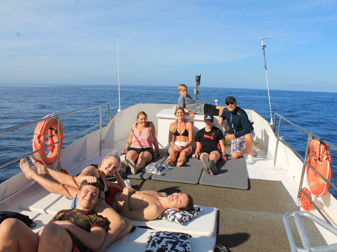 Yellow Boat Mogan Boat & Snorkel Excursions景点图片