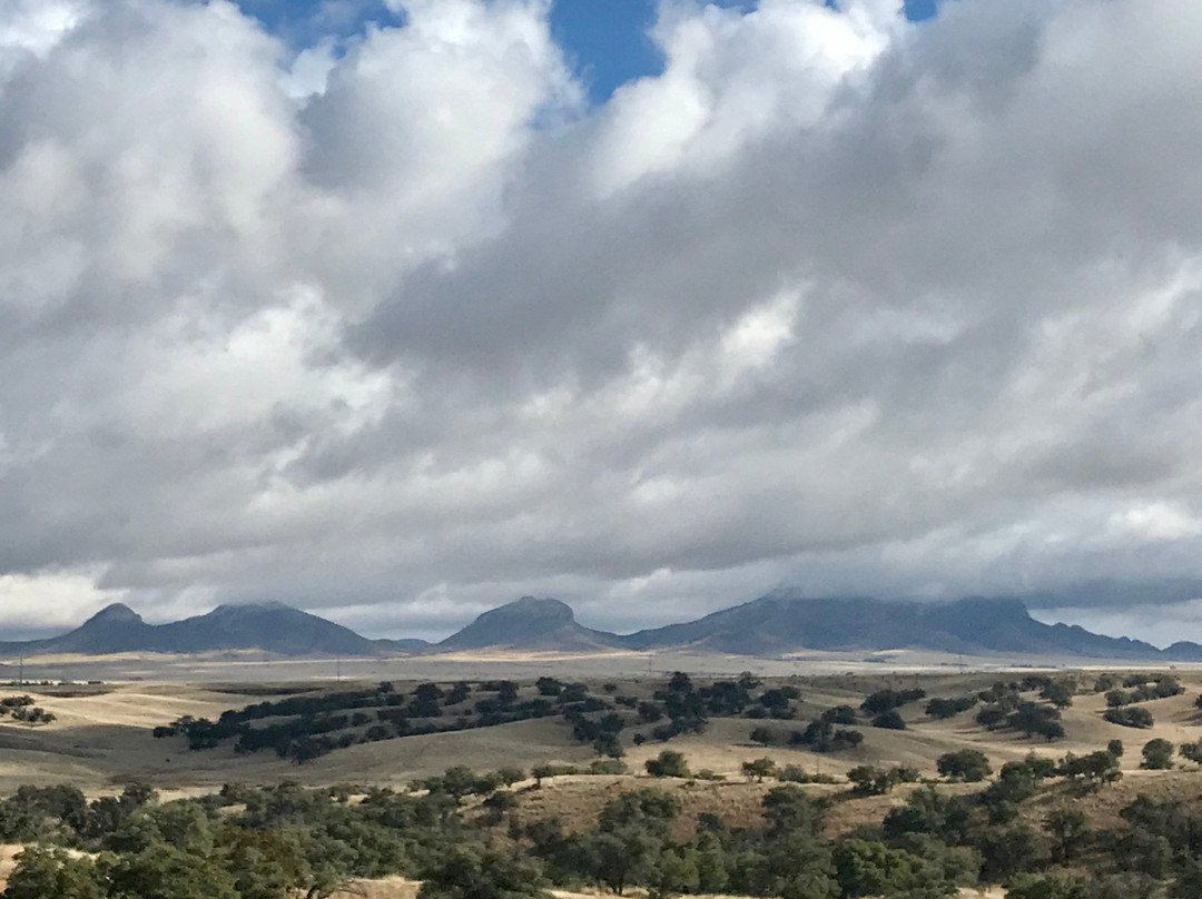 Arizona Horseback Experience景点图片