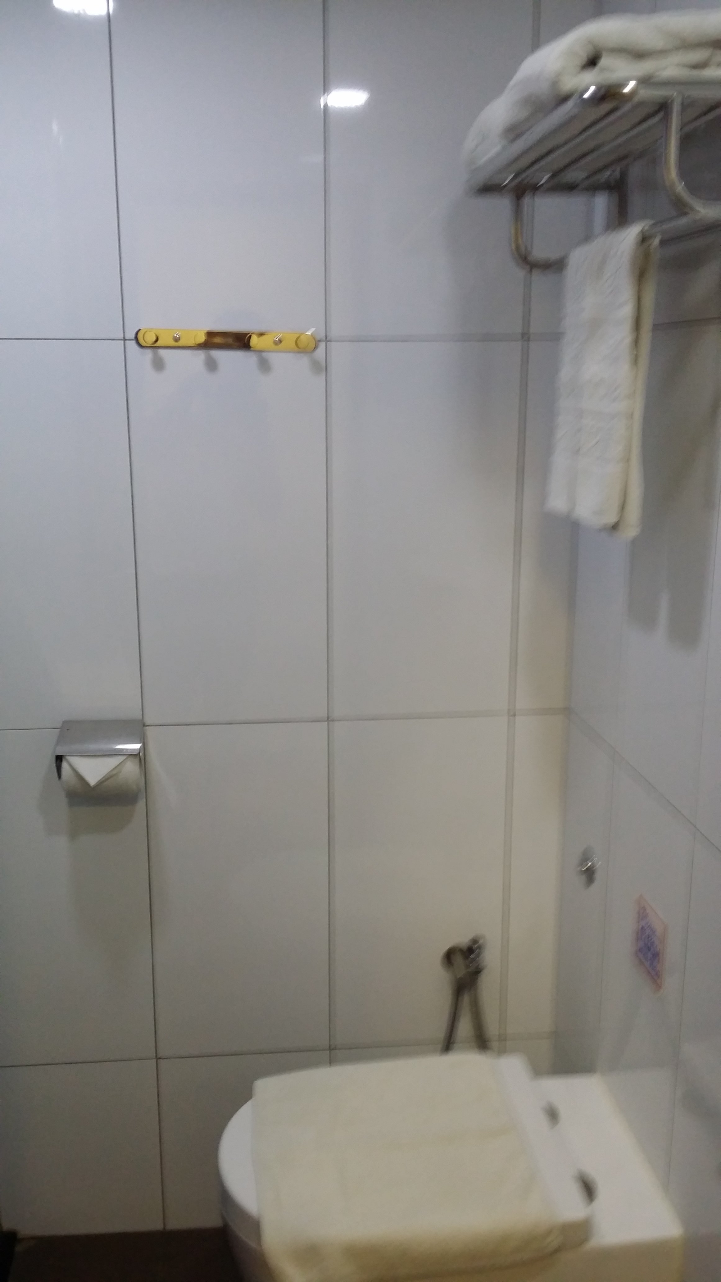 City Garden Hotel-portrait