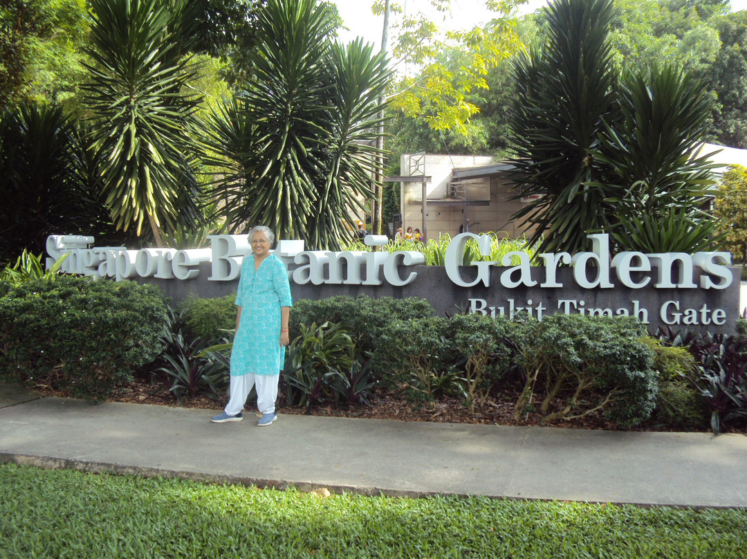 新加坡植物园景点图片
