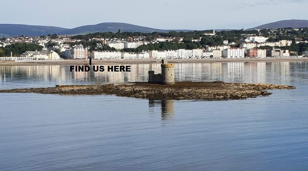 Bed and Blueberry-官方