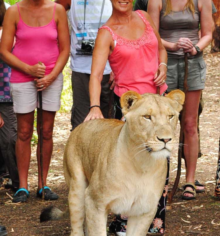 Safari Adventures景点图片