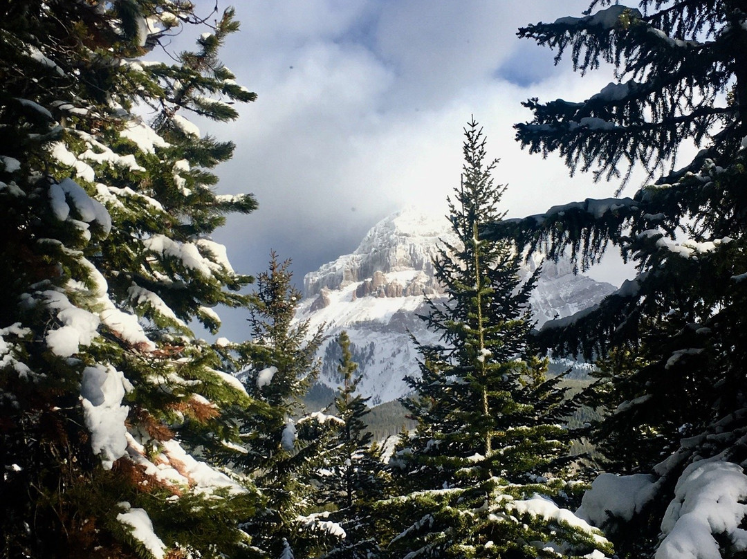 Allison Lake Cross Country Ski Trails-科尔曼必去景点
