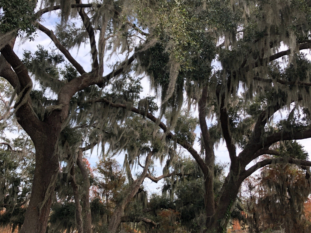 West Orange Trail-Apopka必去景点