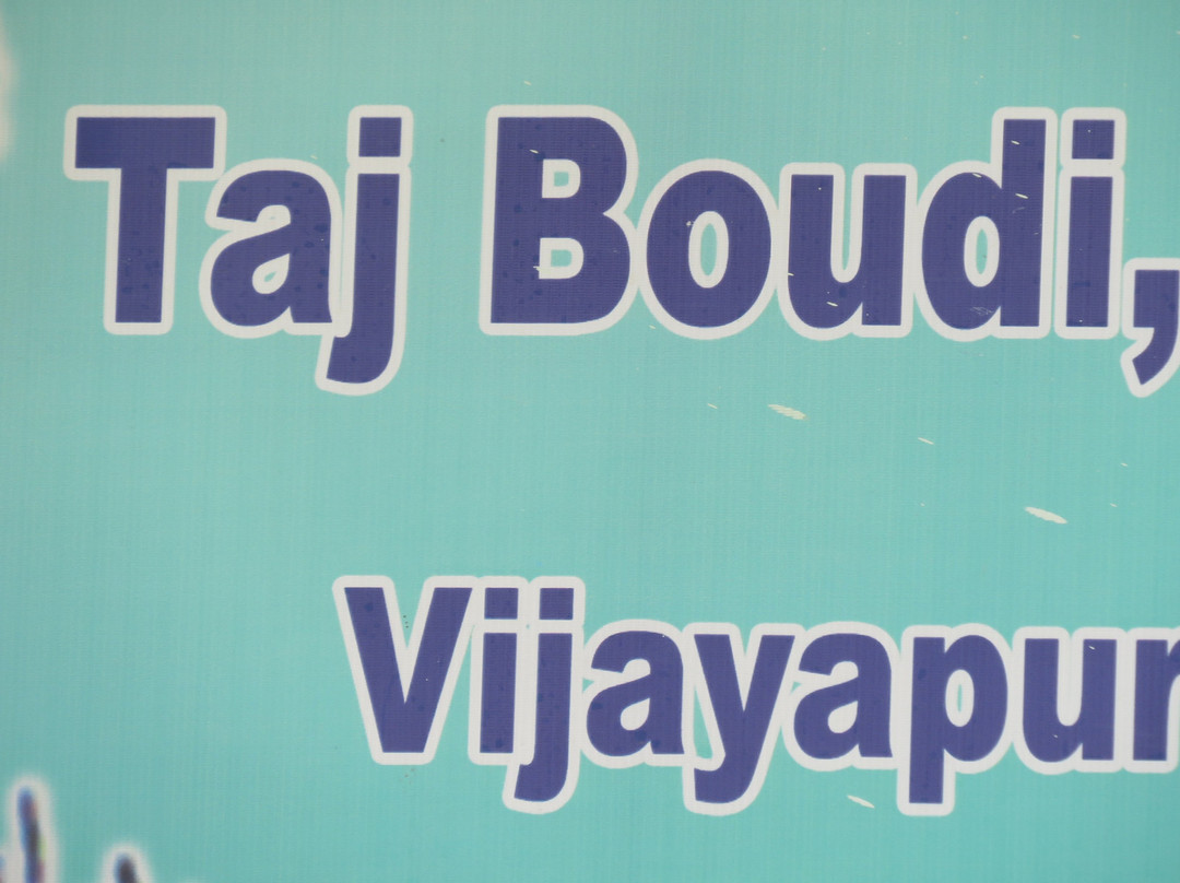Taj Bawdi景点图片