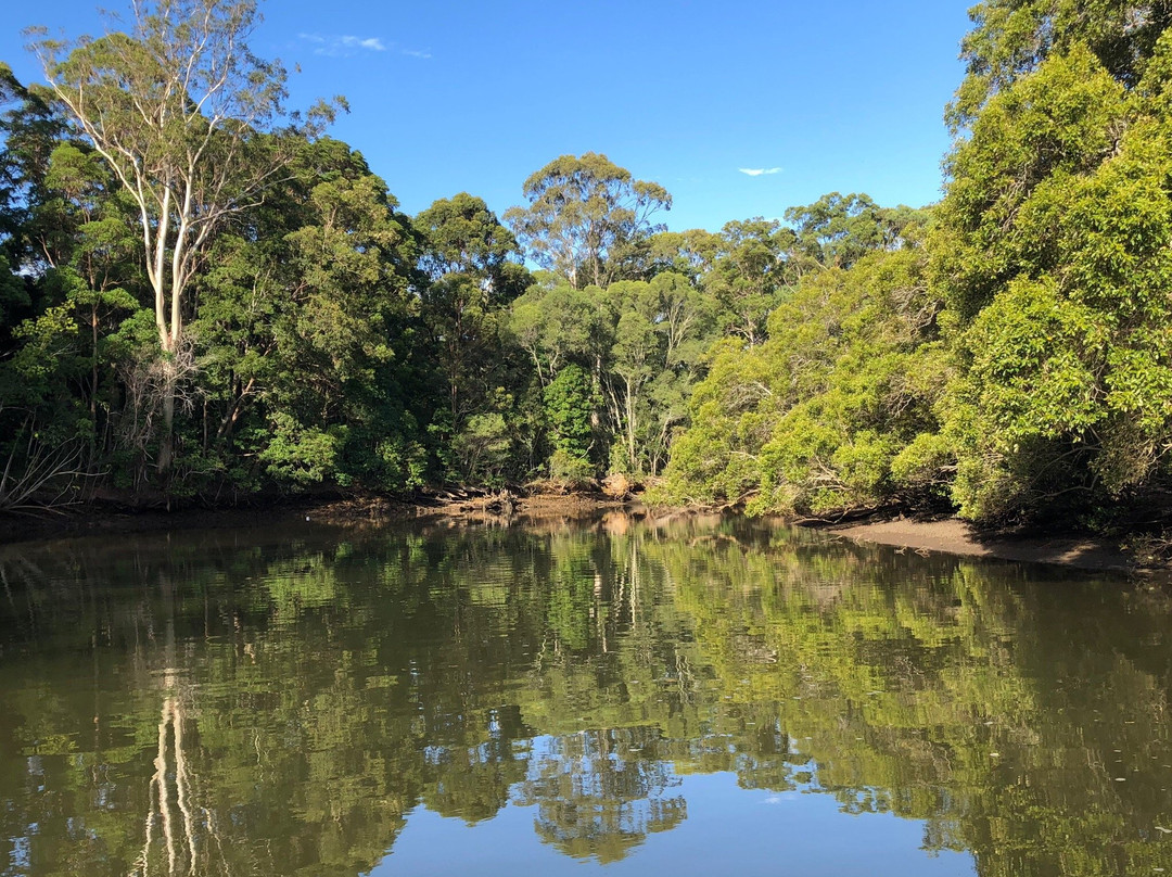 Byron Bay Eco Cruises & Kayaks景点图片