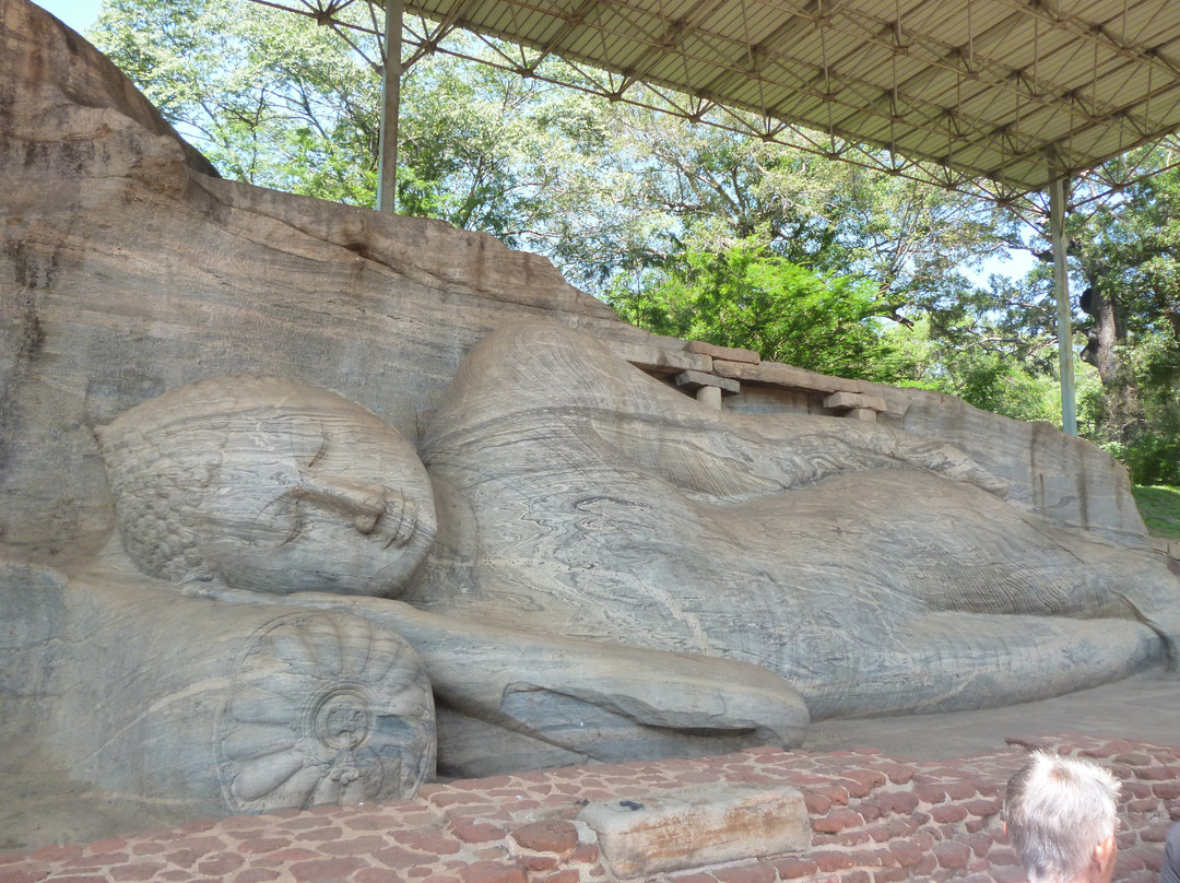 Habarana Buddhist Temple景点图片