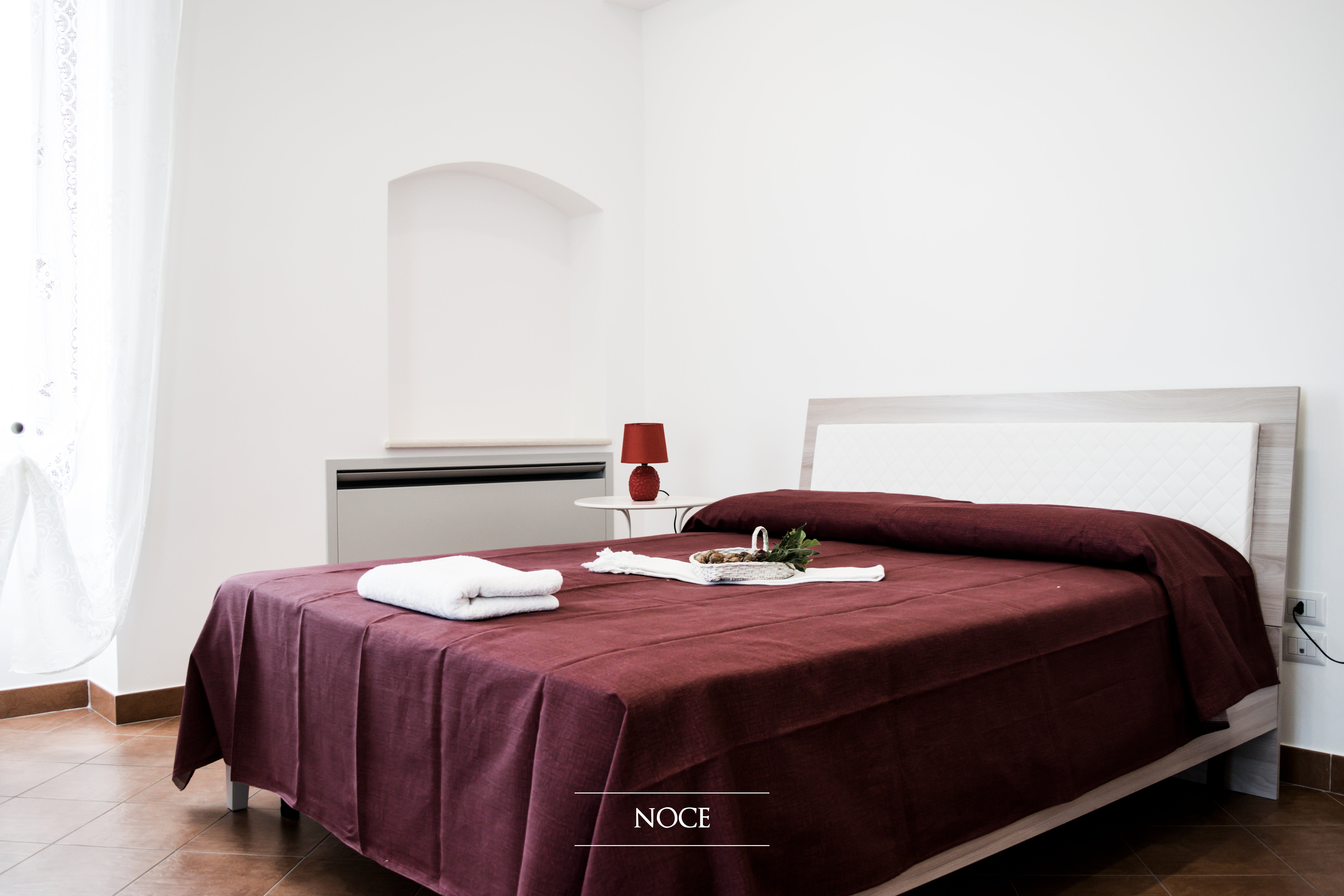 Tenuta Vigna Del Noce-官方