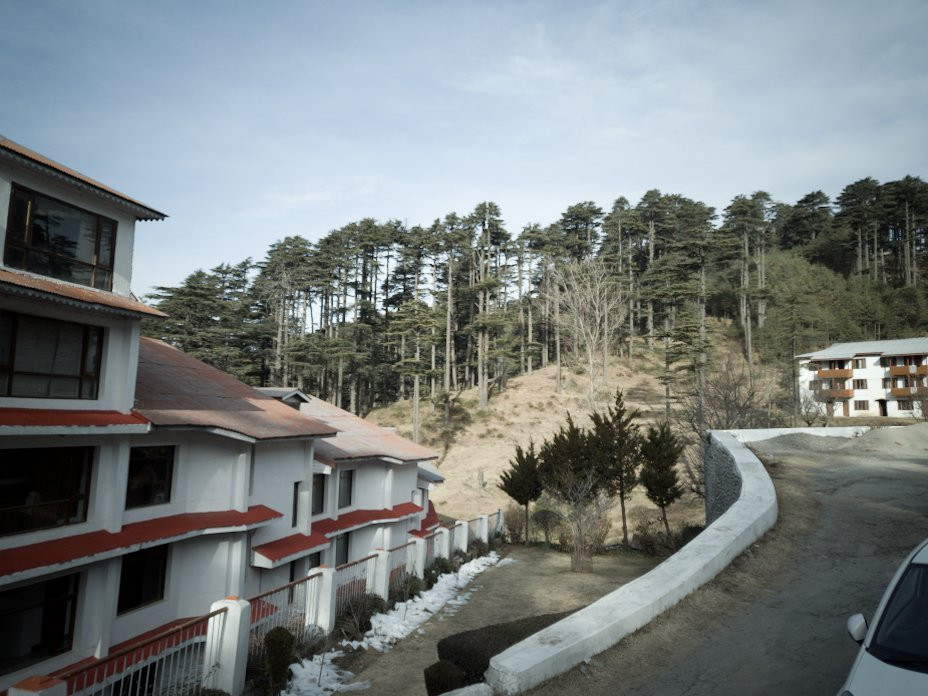 Hotel Subash Palace主图