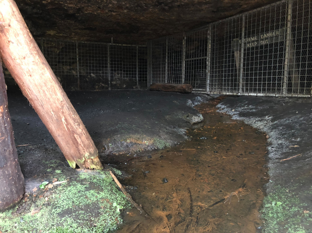 Erith Coal Mine-Bundanoon必去景点