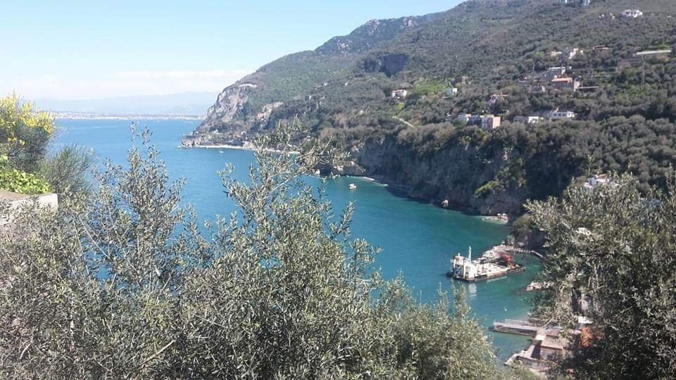 Scoglio Della Margherita-维克艾库塞必去景点