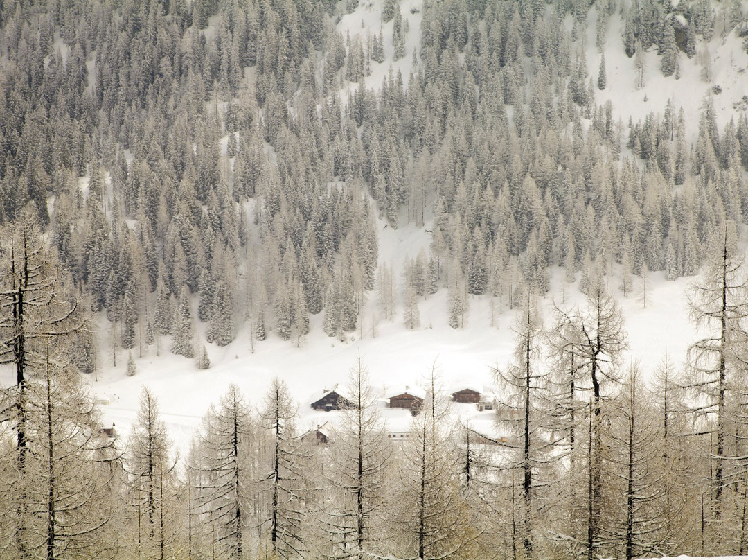 Zauchensee-旧市彭高必去景点