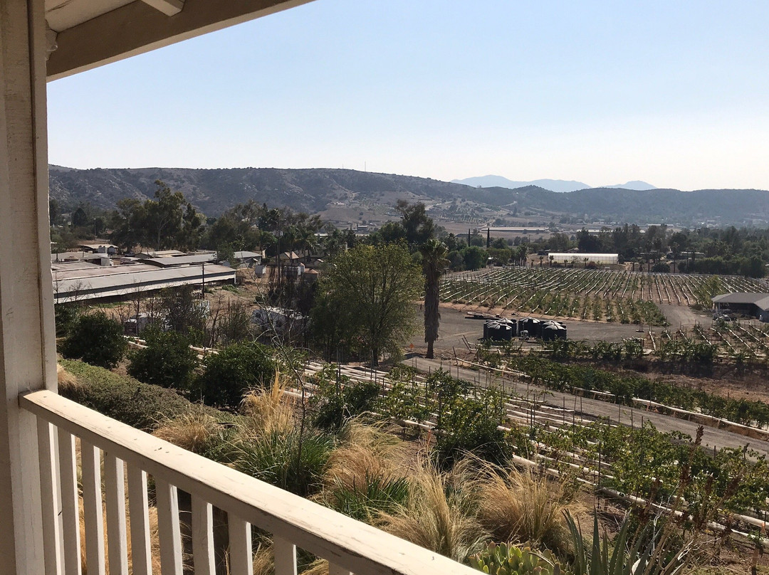 Lenora Winery景点图片