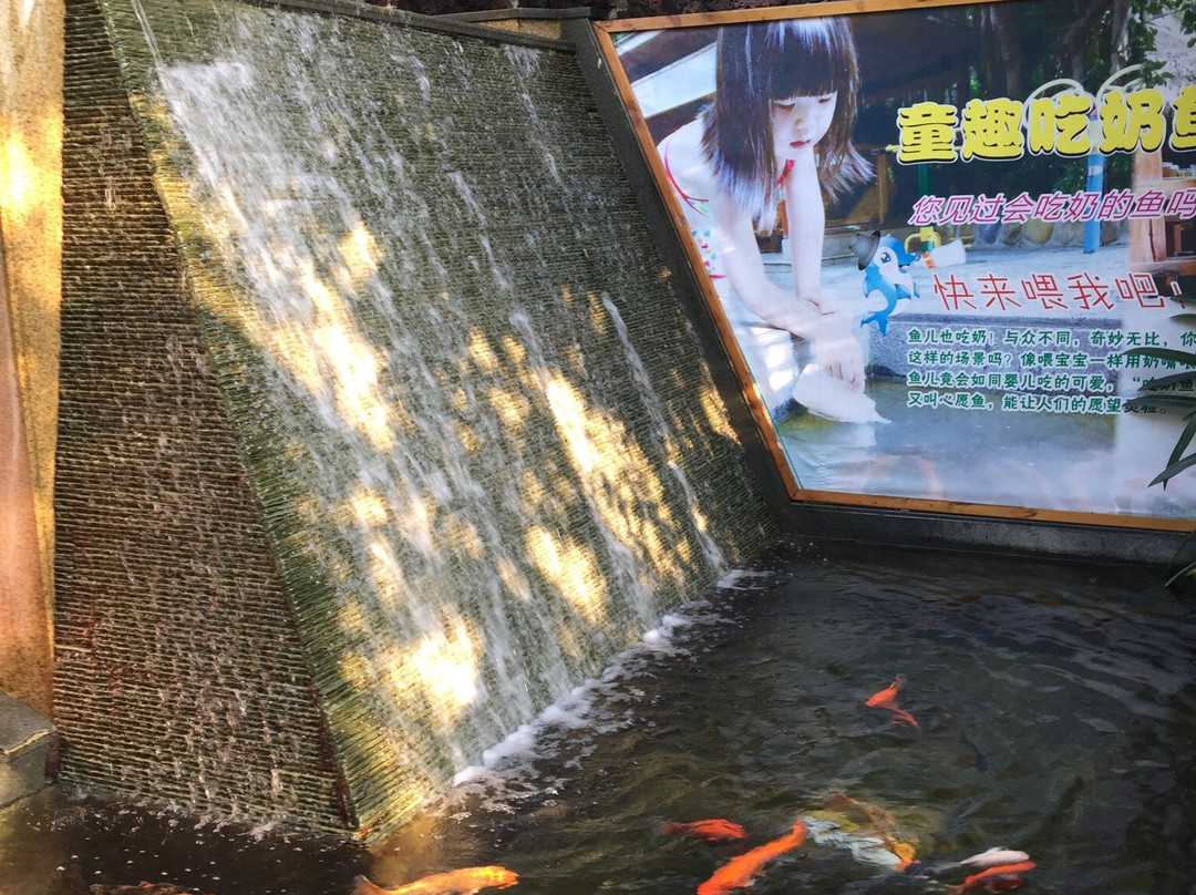 中山泉眼温泉-中山市必去景点