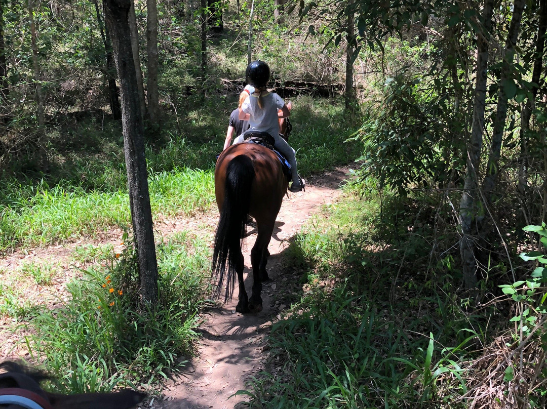 Horse Riding Hinterland景点图片