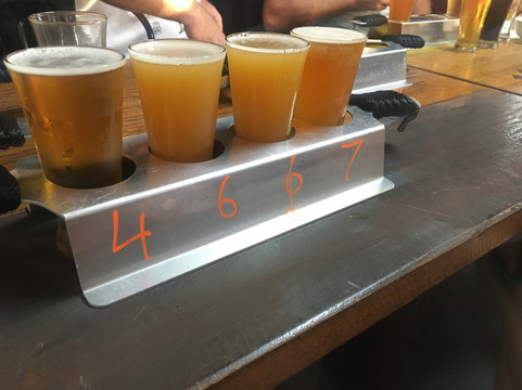 Brisbane Beer Safari-布里斯班必去景点