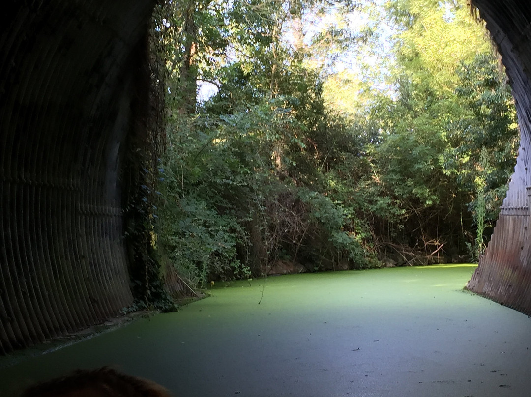 Canoë Vendée-La Chaize Giraud必去景点