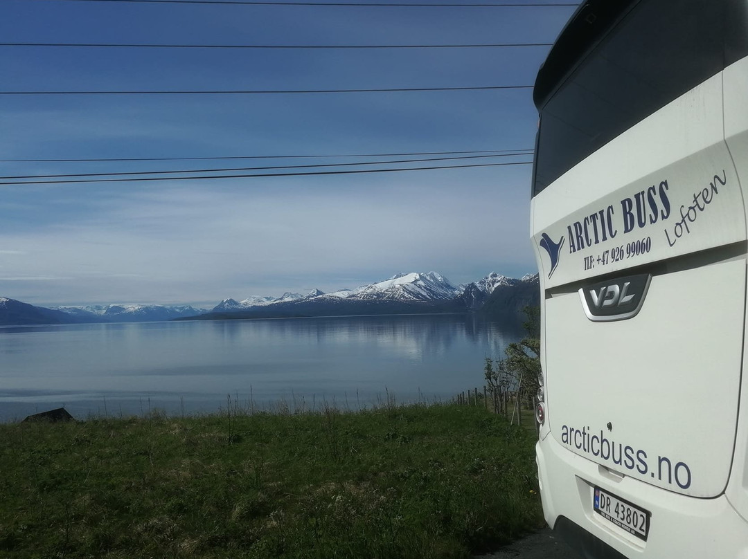 Arctic Buss Lofoten景点图片