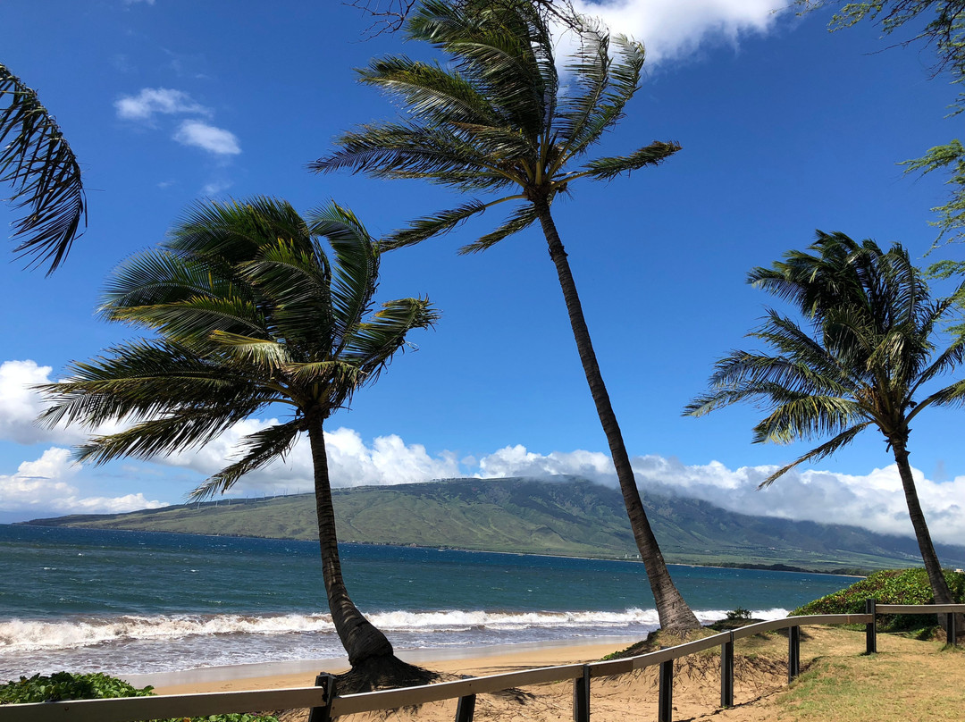 Charley Young Beach-基黑必去景点