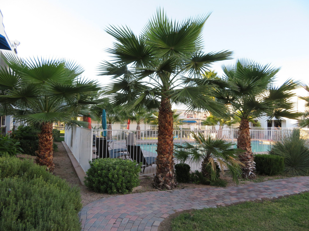 金曼华美达酒店主图