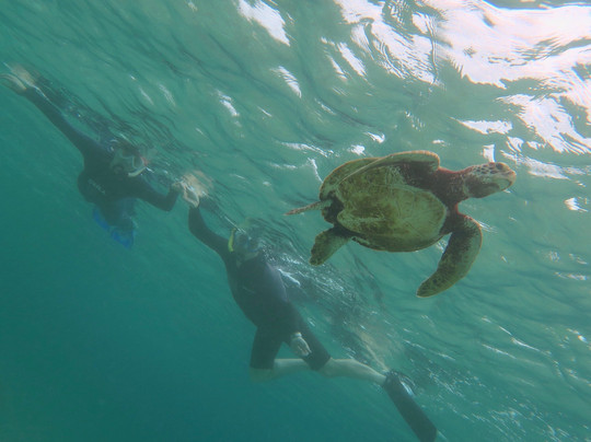 Yabiji Marineheart Miyakojima-Miyako-jima必去景点