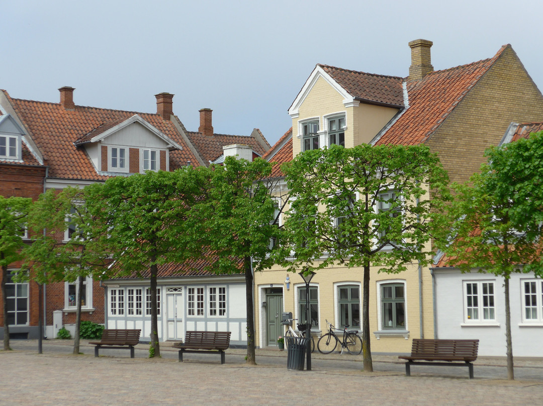 Sortebroedre Torv-欧登塞必去景点