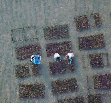 Ocean Gardener-登巴萨必去景点