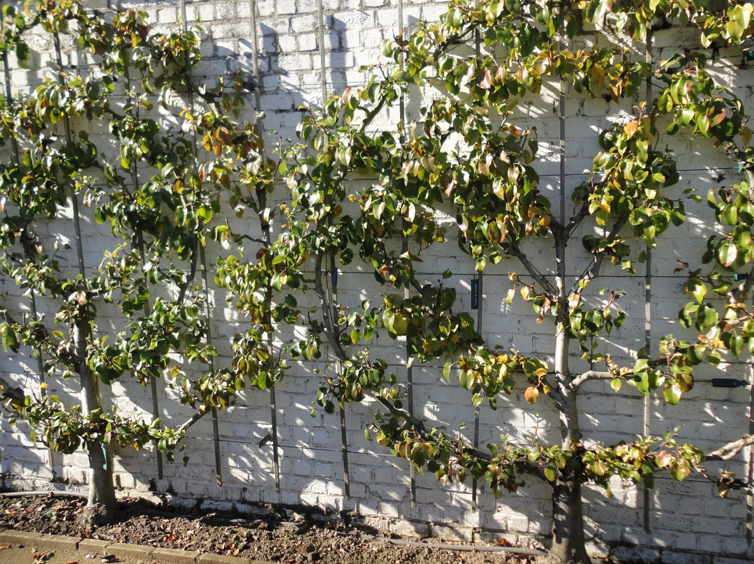 Museumtuin Van Gaasbeek景点图片