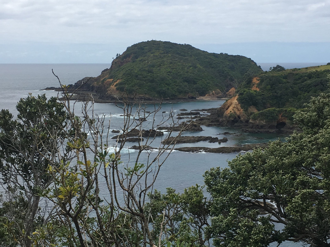 The Light House Lookout主图