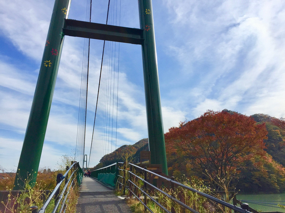 Momijidani Suspension Bridge景点图片