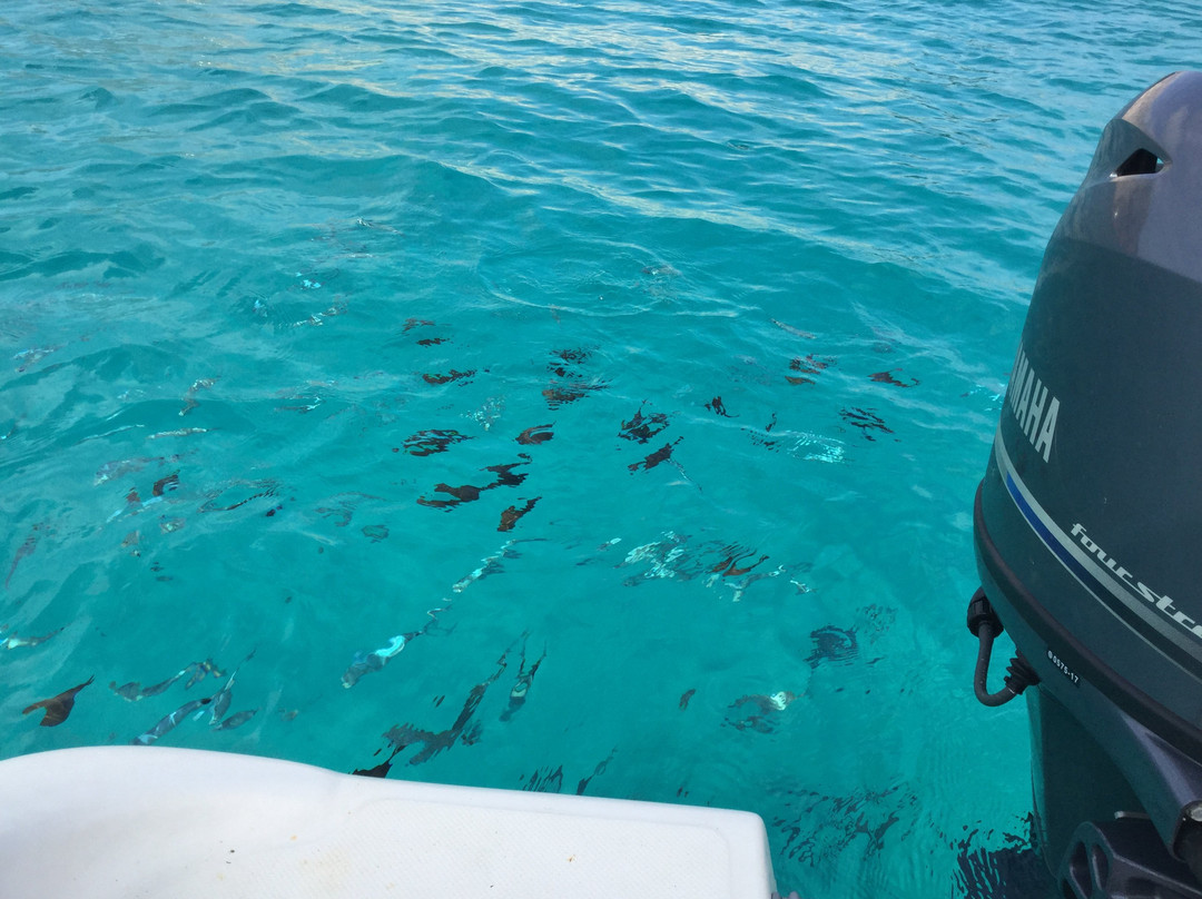 Olbia Boat Rental-奥尔比亚必去景点