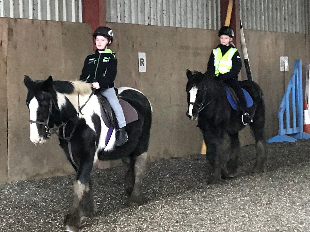 Millfield Riding School景点图片