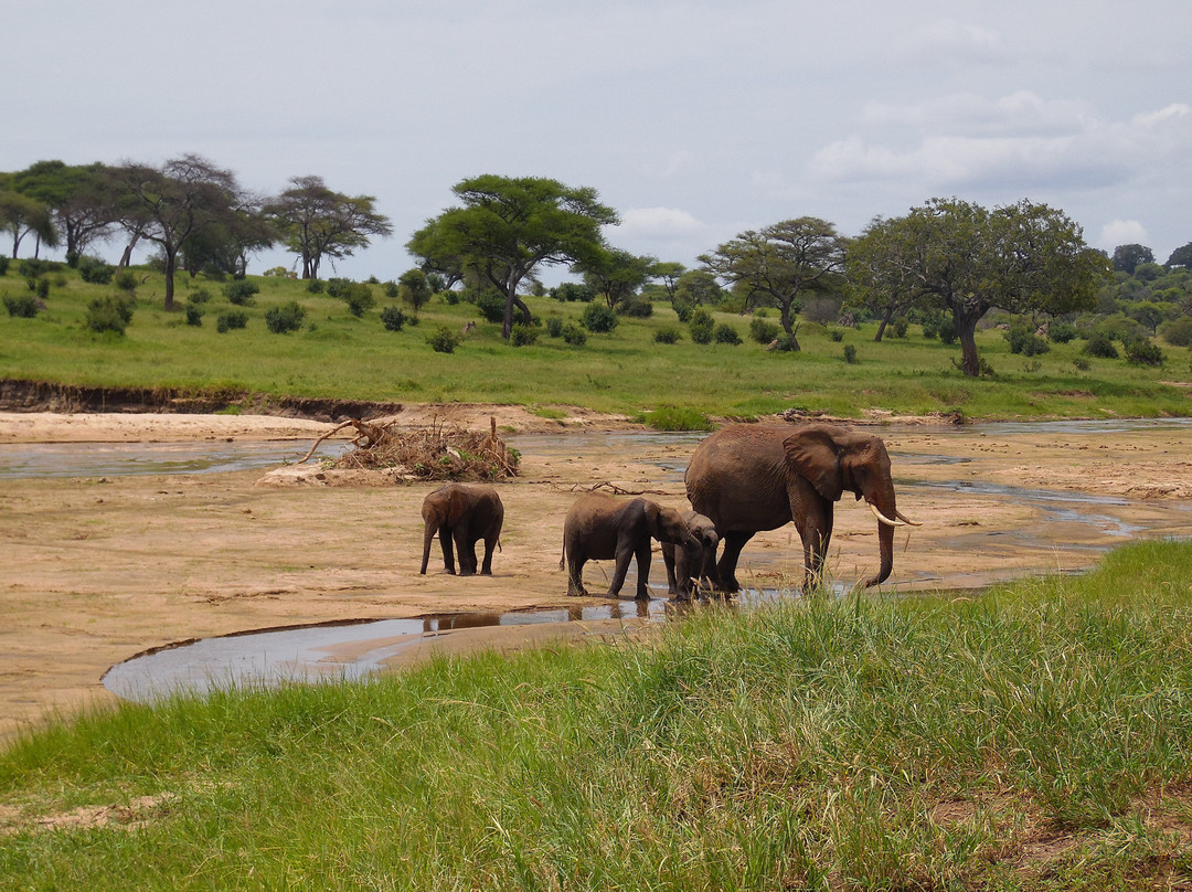 Paragon Safaris Club-阿鲁沙必去景点