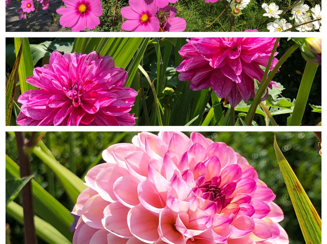 Hastings House Country House Hotel主图