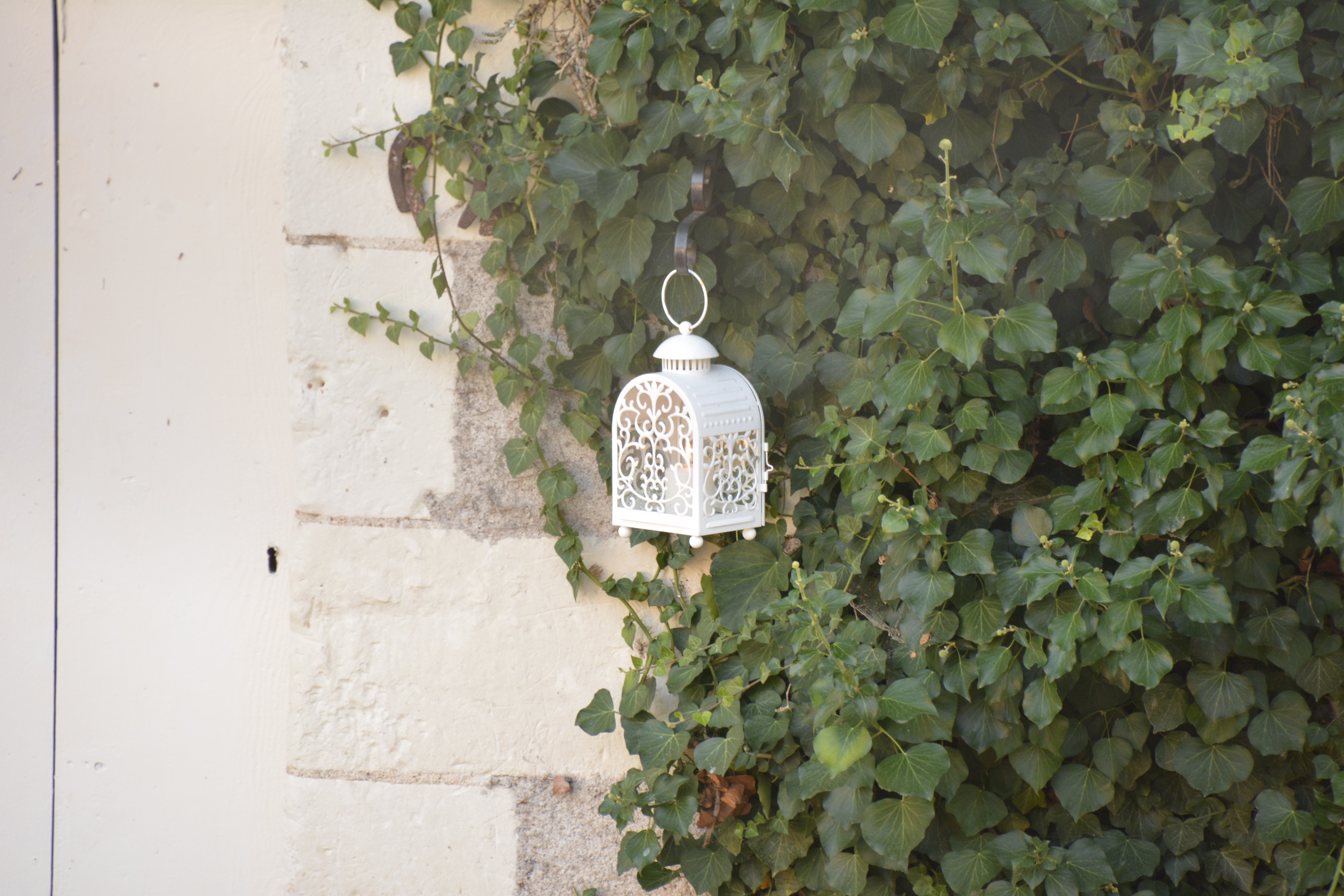 Sans Souci Bed and Breakfast-浴室
