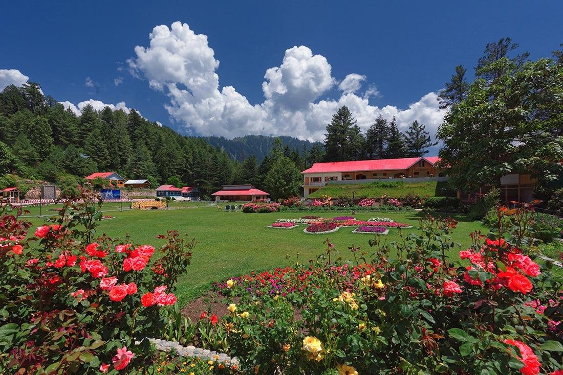 Pine Park Hotels & Resorts-官方