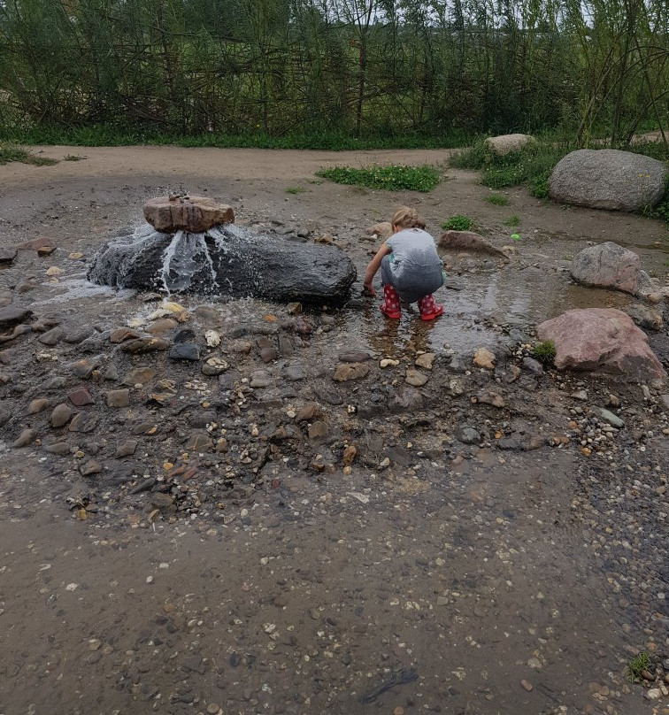 Belevenisboerderij Schieveen景点图片