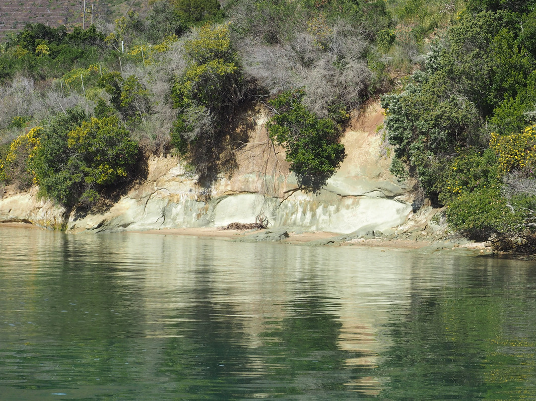 Knysna Charters-克尼斯纳必去景点