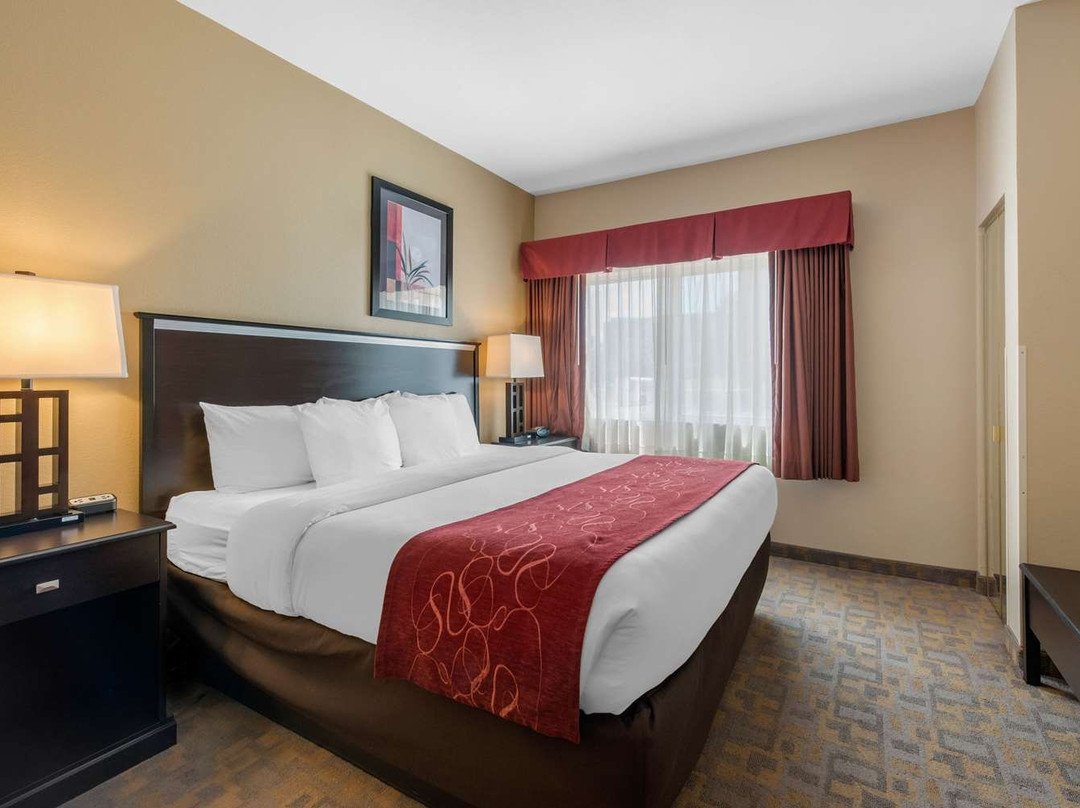 Comfort Suites Denver Tech Center主图