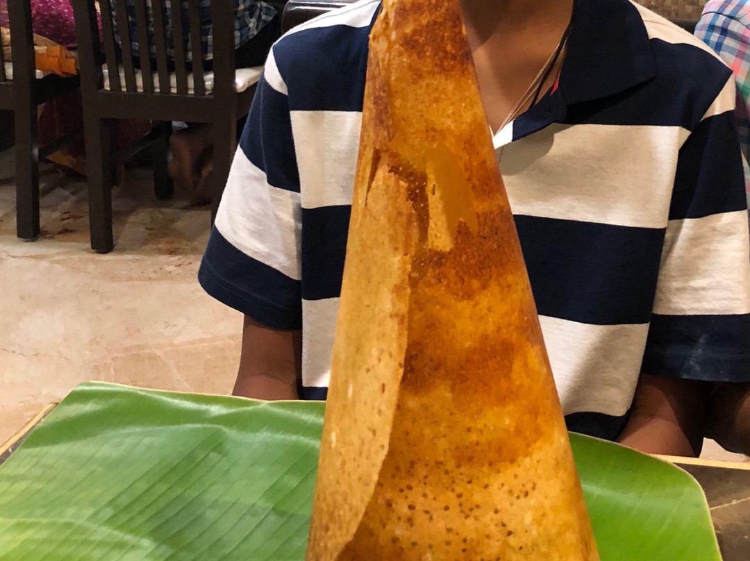 Hotel Mani Iyer主图