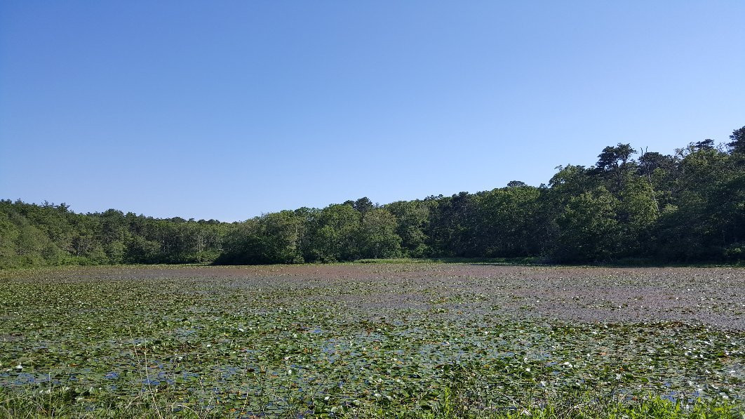 Nickerson State Park景点图片