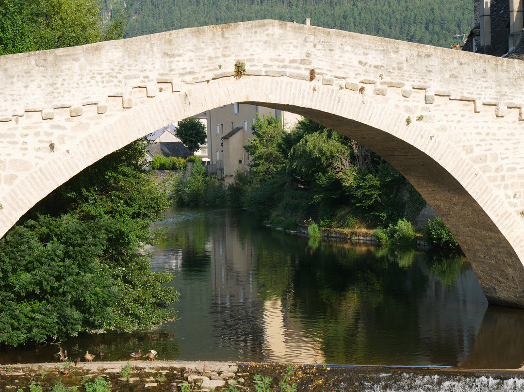 Pont Notre-Dame-芒德必去景点