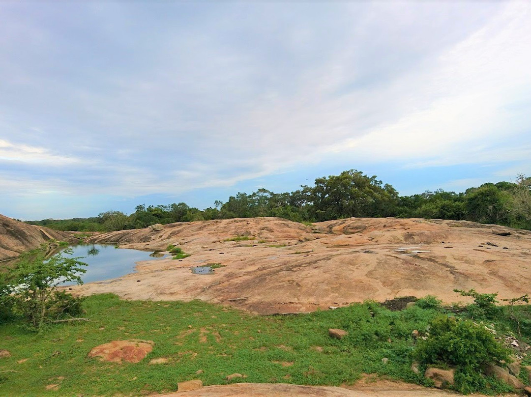 Summer Dew Tours-加勒必去景点