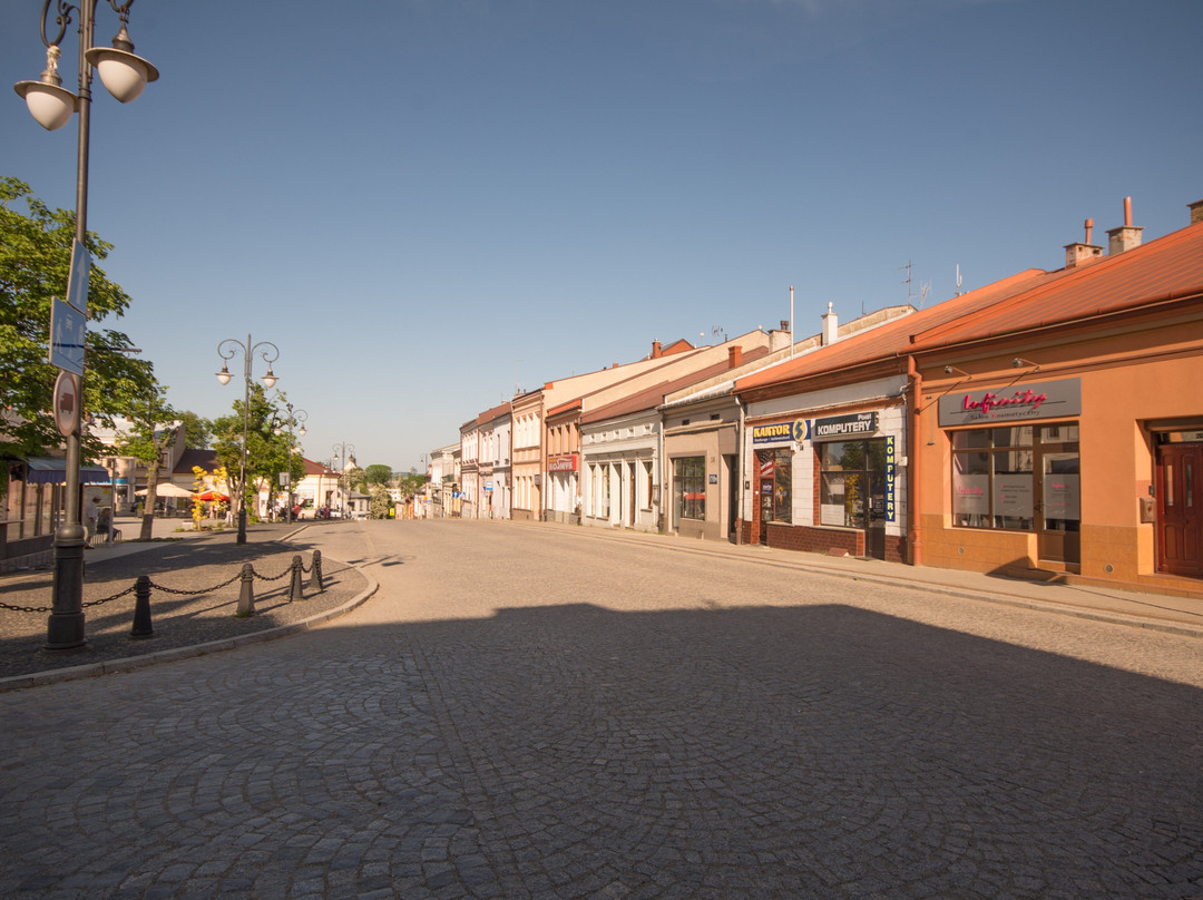 Historic Town Hall - Ratusz景点图片