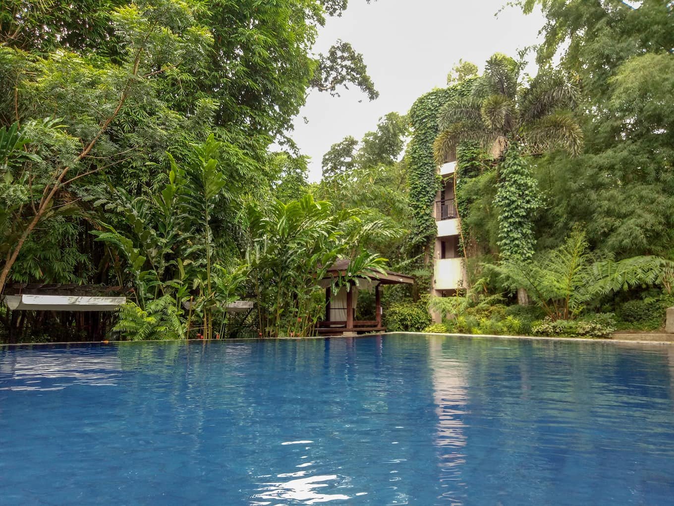 Valentino Resort and Spa-泳池