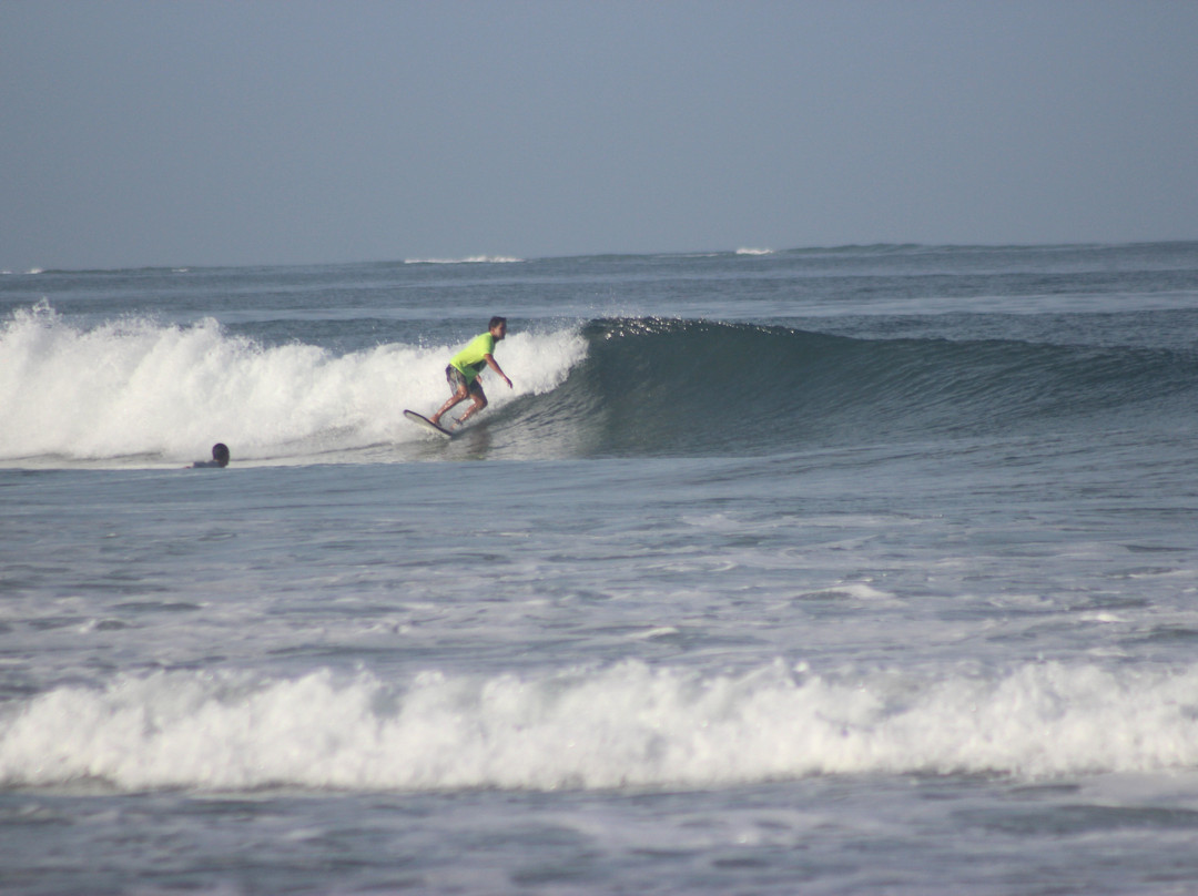 SALT Surf As Life Therapy景点图片