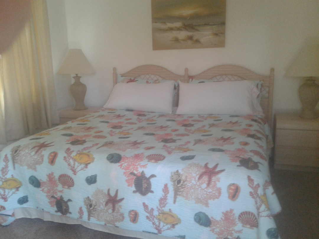 The Aloha Motel Apartments主图