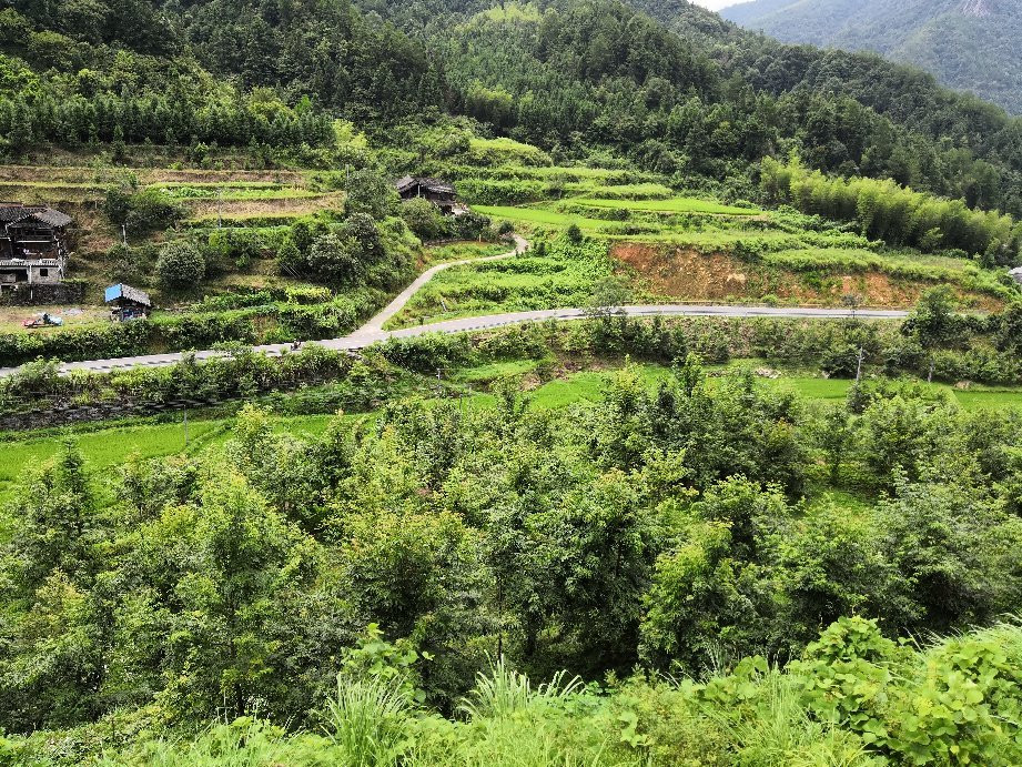 寨市古镇-绥宁县必去景点