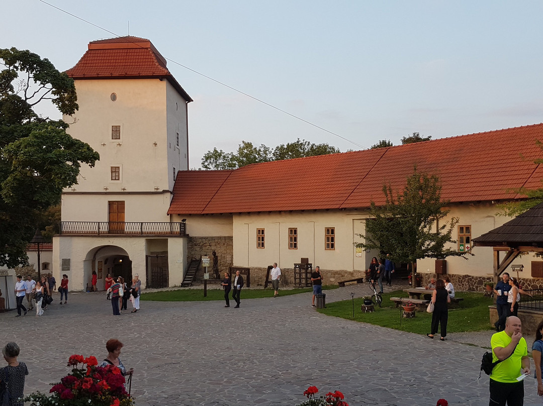 Silesian-Ostrava Castle景点图片