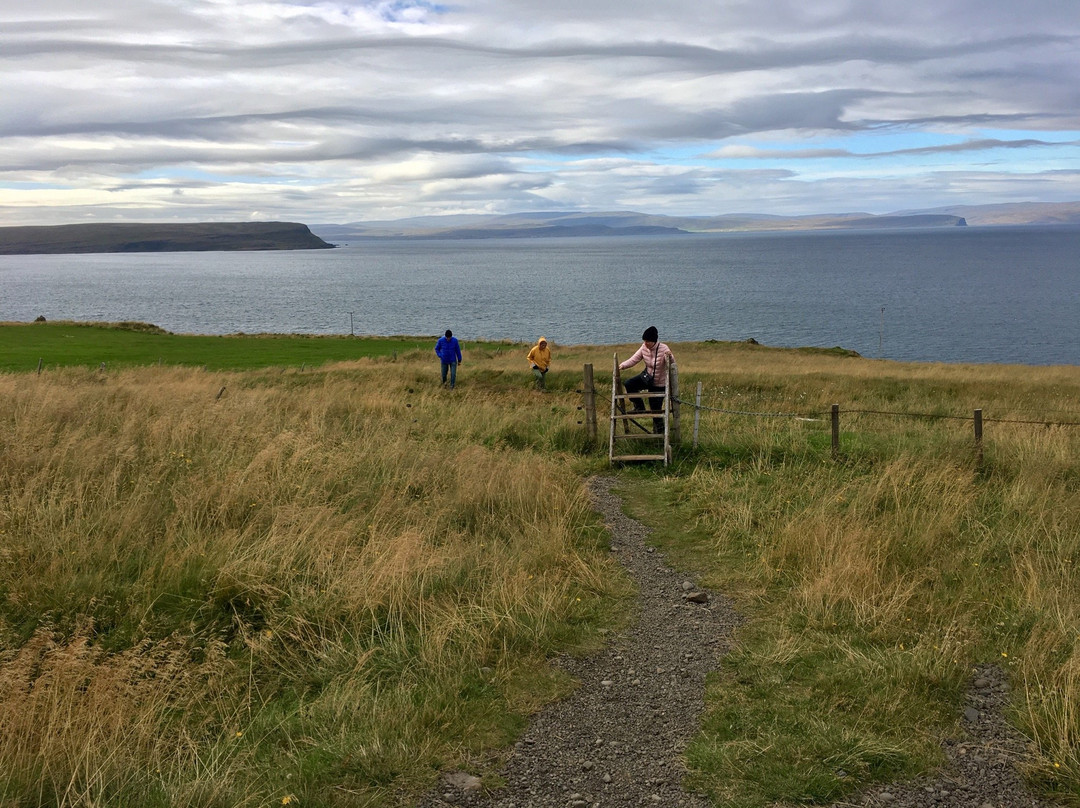 Anastadastapi-Vatnsnes必去景点